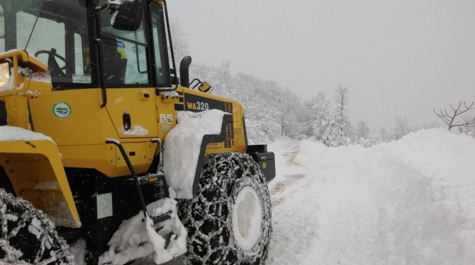 Giresun’da Karla Mücadele Çalışmaları Başladı