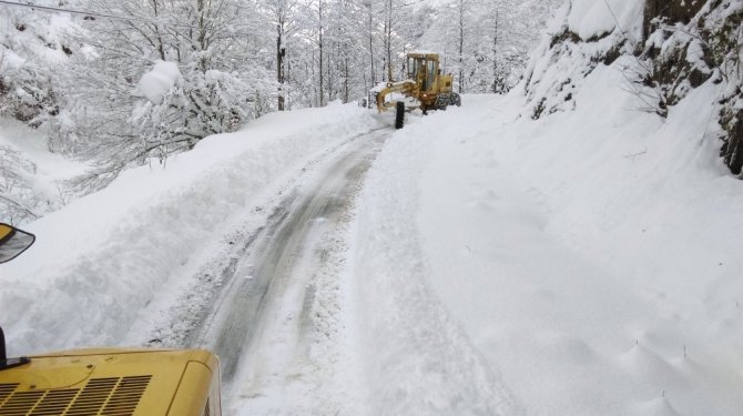 Giresun’da Karla Mücadele Çalışmaları Başladı