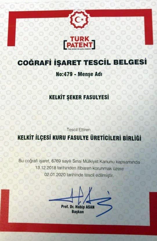 Kelkit Şeker Fasulyesi Coğrafi İşaretini Aldı