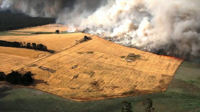 Kanguru Adası’nın Üçte Biri Yandı