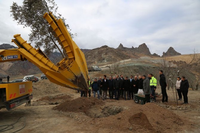 Artvin Valisi Doruk Yusufeli Yeni Yerleşim Yerinde Fidan Dikti