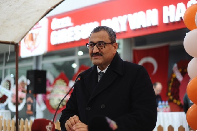 Doğu Karadeniz’in En Donanımlı Hayvan Hastanesi Giresun’da Açıldı