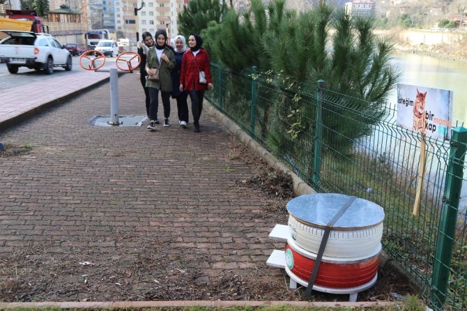 Üniversite Öğrencileri Hurda Lastiklerden Kedilere Yuva Yaptı