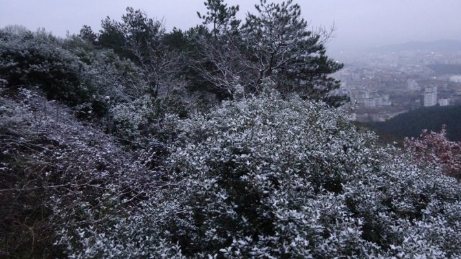 İstanbul’da Kar Yağdı, Aydos Ormanı Beyaz Örtüyle Kaplandı