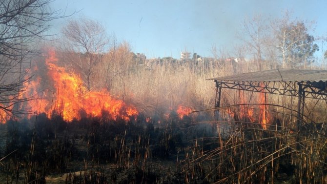Antalya’da Sazlık Yangınında Bazı Evler Tahliye Edildi