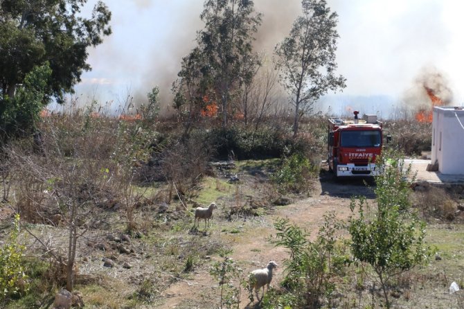 Antalya’da Sazlık Yangınında Bazı Evler Tahliye Edildi