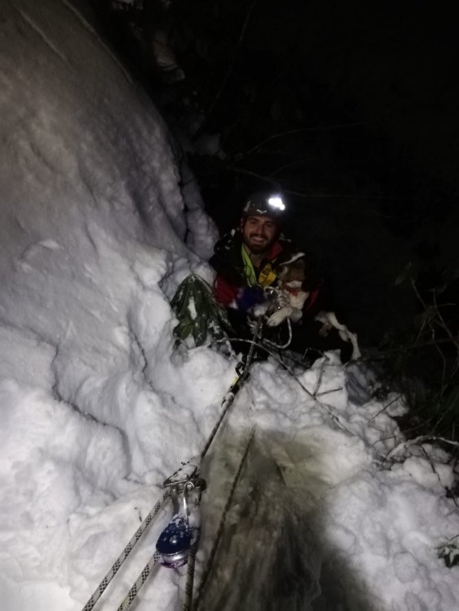 Buz Tutmuş Derede Mahsur Kalan Köpeği Akut Kurtardı