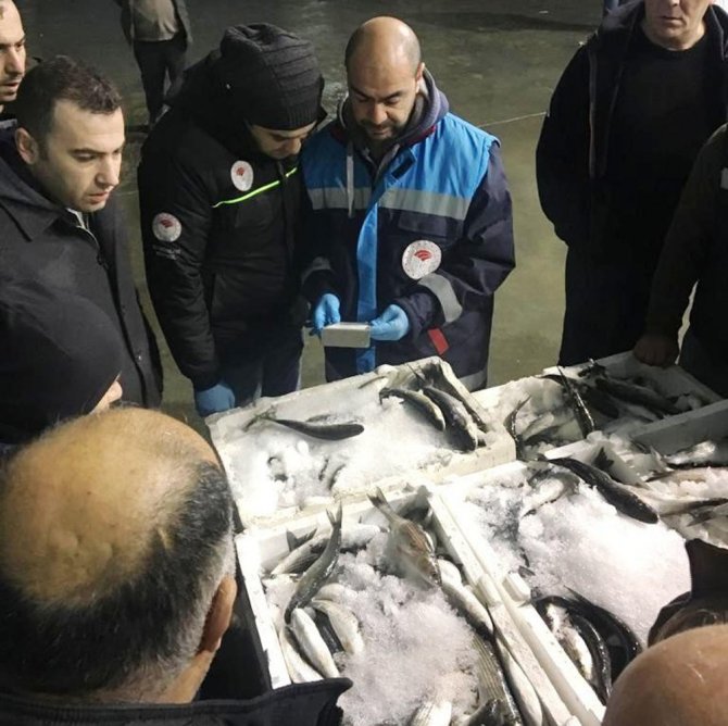 3 İlde 1,5 Ton Balığa El Koyuldu