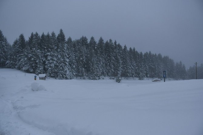 Kafkasör Yaylası’nın Kış Güzelliği