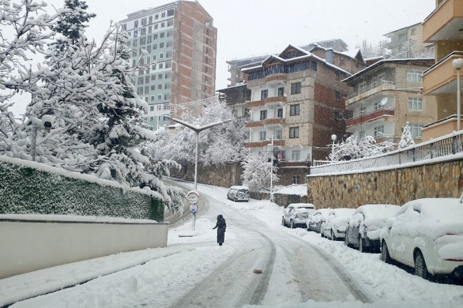 Gümüşhane’de Kar Yağışı