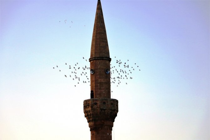 Şanlıurfa Semalarında Kuşların Dansı