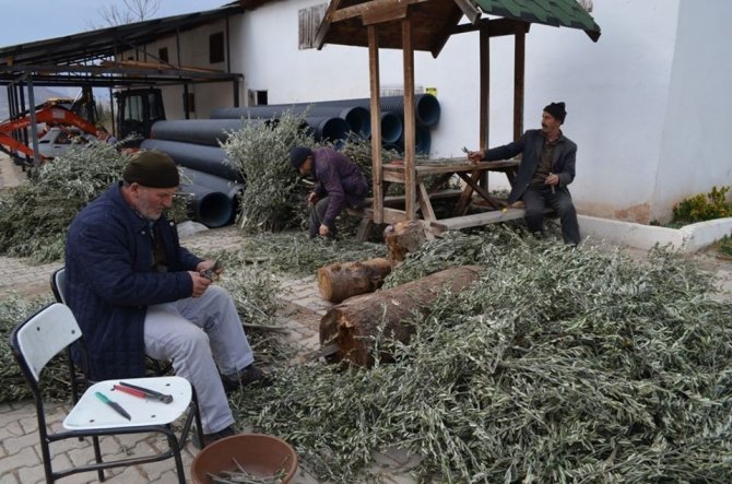Artvin’de Orman Köylüsü İçin 27 Bin Gelir Getirici Fidan