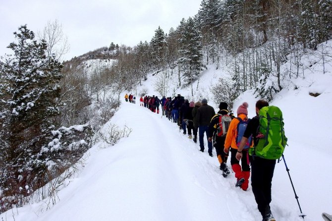 Gümüşhaneli, Trabzonlu Ve Samsunlu Dağcılardan Kar Yürüyüşü