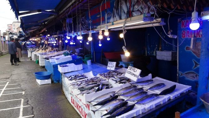 Balık Av Sezonunda Sona Geliniyor