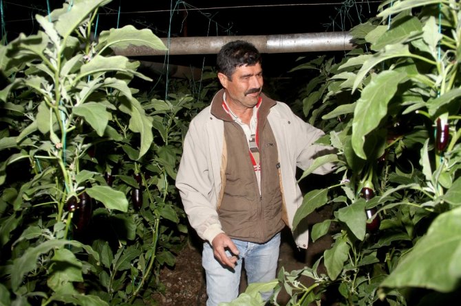 Fethiye’de Sera Üreticisinin Sobalı Don Nöbeti