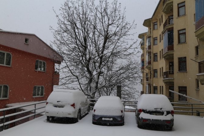 Artvin’de Kar Esareti