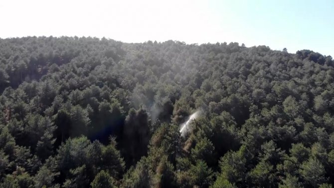 Aydos Ormanı’nda Yangının Çıktığı Alan Havadan Görüntülendi