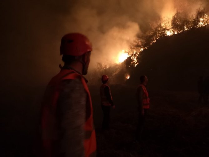 Arhavi’deki Orman Yangını Kontrol Altına Alındı
