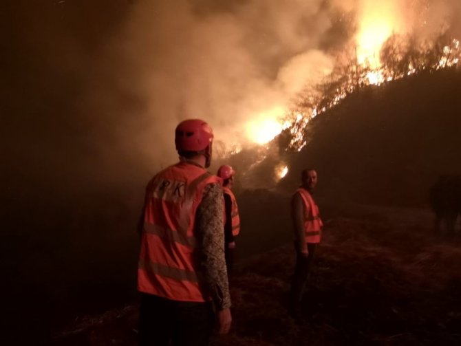 Arhavi’deki Orman Yangını Kontrol Altına Alındı