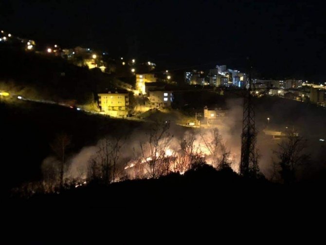 Giresun’da Ormanlık Alanda Yangın