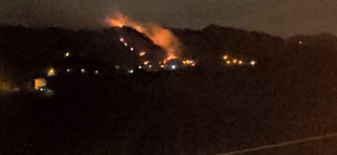 Trabzon’da Orman Yangını