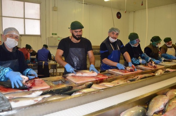 Gürdoğan: Doğu Karadeniz’den Su Ürünleri İhracatındaki Artışı Karşılamak İçin Yeni Yatırımlar Yapmak Gerekiyor