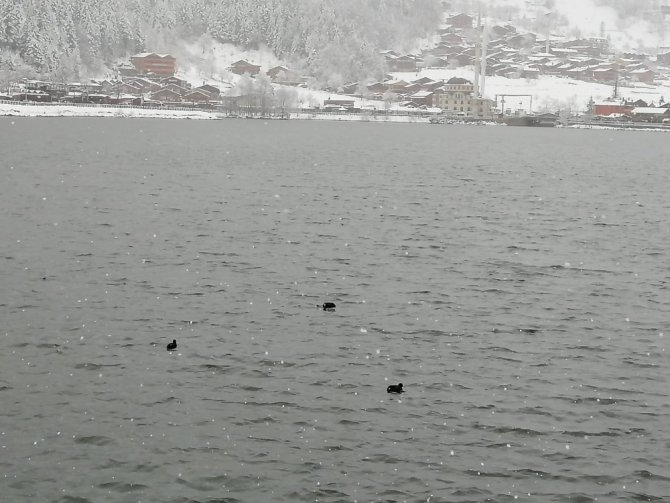 Uzungöl’de Koronavirüs Sessizliği