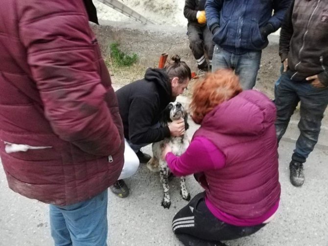 Dereye Düşen Köpek, İtfaiye Ekipleri Ve Vatandaşlar Tarafından Kurtarıldı