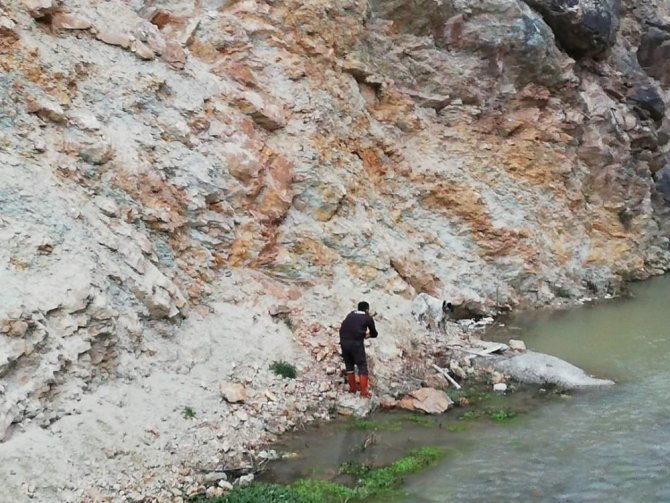 Dereye Düşen Köpek, İtfaiye Ekipleri Ve Vatandaşlar Tarafından Kurtarıldı