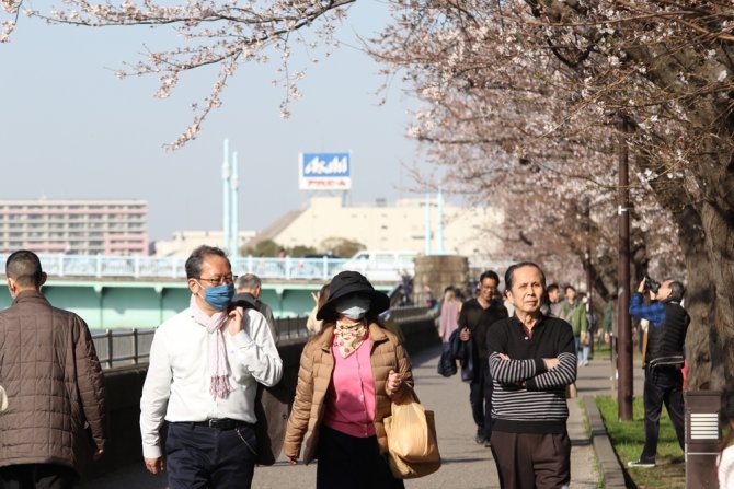 Japonya’da ’Sakura’ Coşkusuna Korona Virüsü Engeli