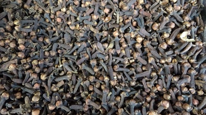 Korona Virüse Karşı Bağışıklığın Önemi