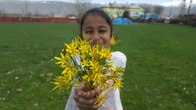 Bitlis’te Baharın Müjdesi Çiçeklerden Renk Cümbüşü