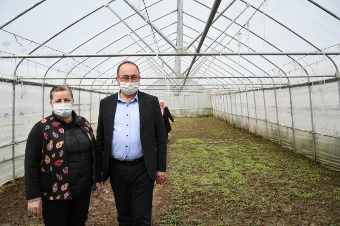 Artvin’de Yerel Ata Tohumları Korunuyor