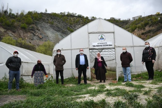 Artvin’de Yerel Ata Tohumları Korunuyor