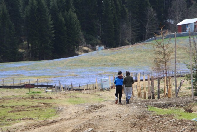 Mor Yayla’da ’Korona’ Sessizliği
