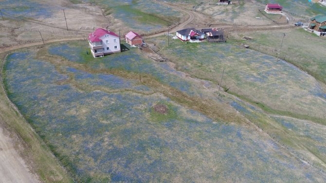 Mor Yayla’da ’Korona’ Sessizliği