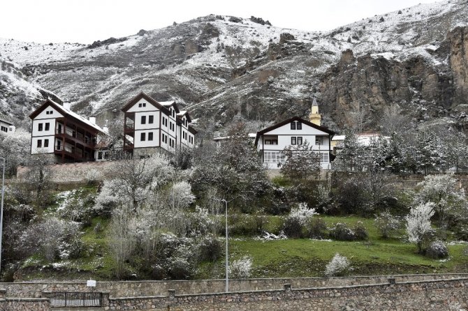 Gümüşhane’de Kar Yağışı Zirai Don Tehlikesini De Beraberinde Getirdi