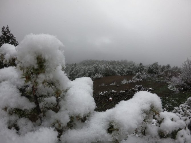 Artvin’de Nisan Ayında Kar Yağdı