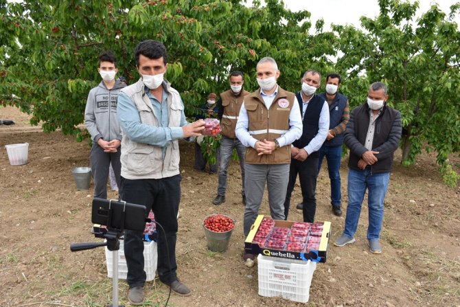 Bakan Pakdemirli Kiraz Üreticileri İle Telekonferansta Görüştü