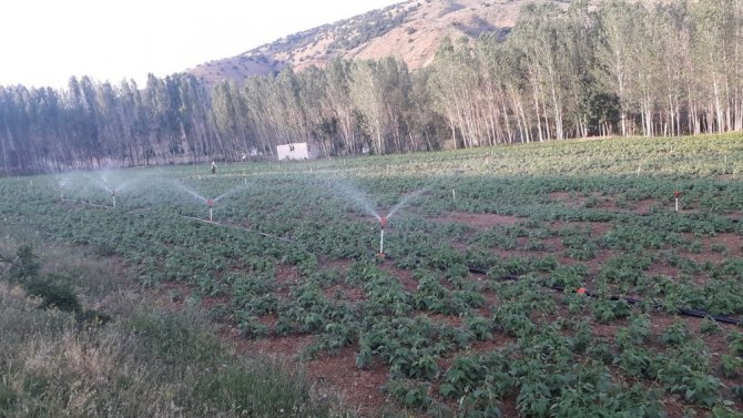 Gümüşhane’de 113 Bin 800 Dekar Tarım Arazisinin Sulanmasına Başladı