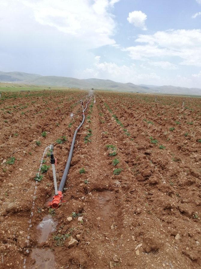 Gümüşhane’de 113 Bin 800 Dekar Tarım Arazisinin Sulanmasına Başladı