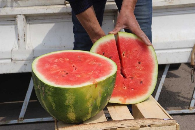 Karpuzun Kilosu 6 Lira Olunca Dilim Dilim Satılmaya Başlandı