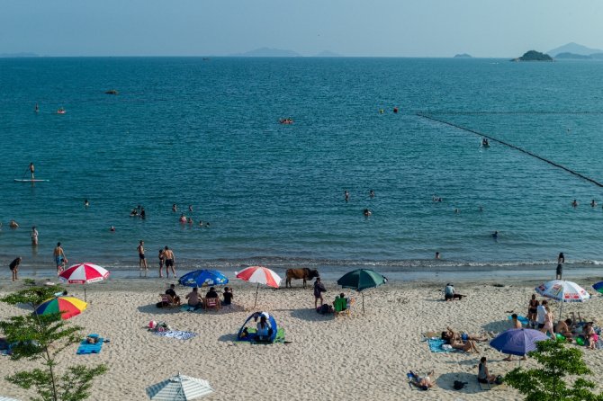 Hong Kong’da Korona Virüse Rağmen Halk, Plajlara Akın Etti