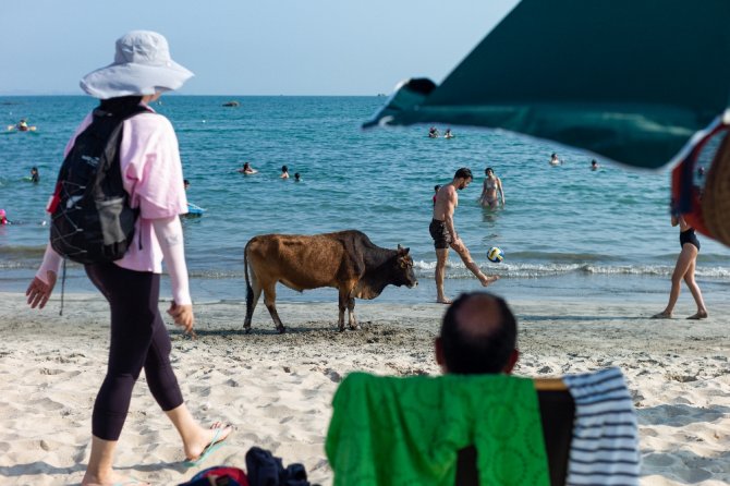 Hong Kong’da Korona Virüse Rağmen Halk, Plajlara Akın Etti