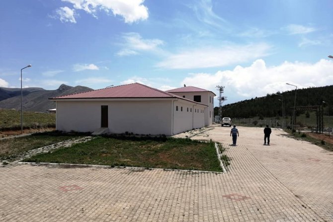 Kınalı Keklikler Yumurtadan Çıktı