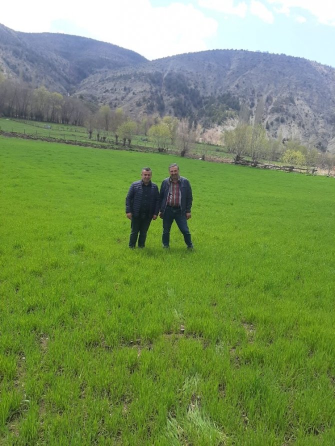 Deneme Amaçlı Ekilmişti, Çiftçilerin Yüzünü Güldürdü