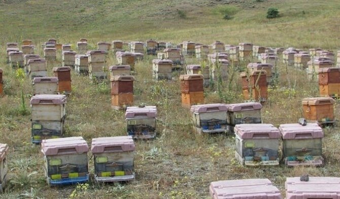 Pehlevan’dan “Arı Tarım Komisyonu