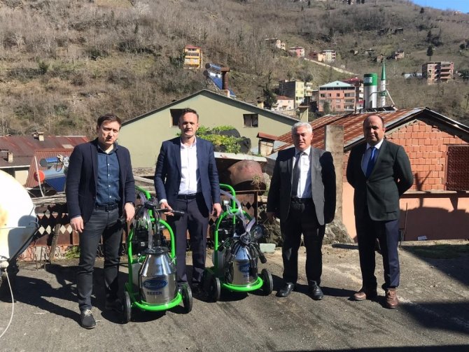 Giresun’da Manda Yetiştiriciliği Ve Manda Sütü Toplama Projesi Hızla Geliştiriliyor