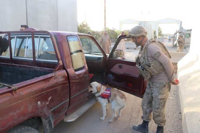 Telabyad Ve Resulayn’da Drone Ve Bomba Arama Köpeği Devri