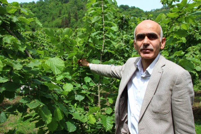 Karan: “Türk Fındığı Ülkemize De Yeter, Dünyaya Da Yeter”